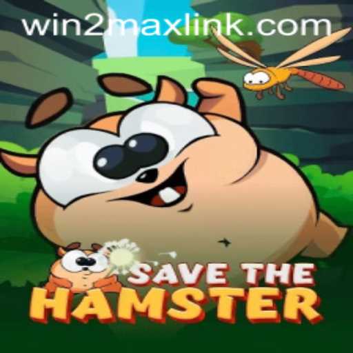 Discovering SavetheHamster: The Latest Gaming Sensation with Win2Max