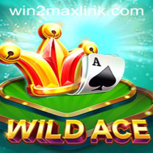 Discover the Thrills of WildAce and Win2Max